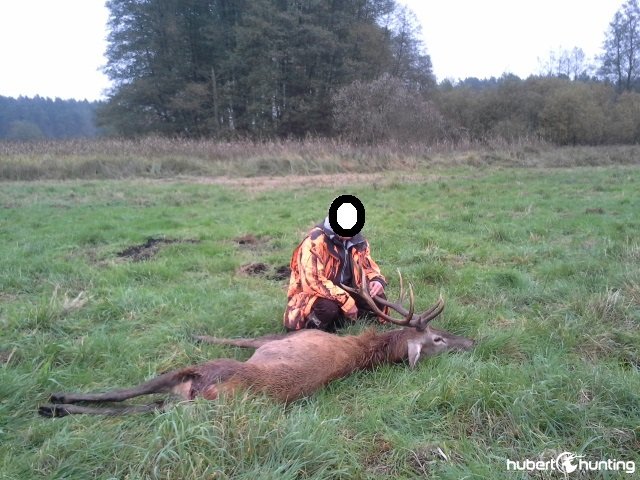 Red deer hunting